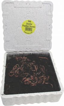 5lb box of fishing worms Classic Flock Dried Mealworms - High Protein Treat for Chickens & Birds Con Pre 5lb box of fishing worms