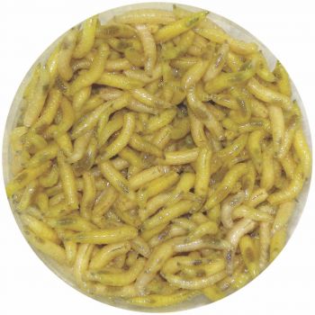 Knutson's Live Bait: Extra Bright Colored Maggots